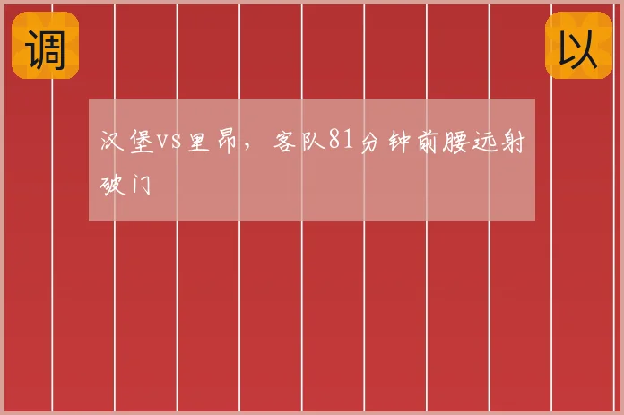 汉堡vs里昂，客队81分钟前腰远射破门